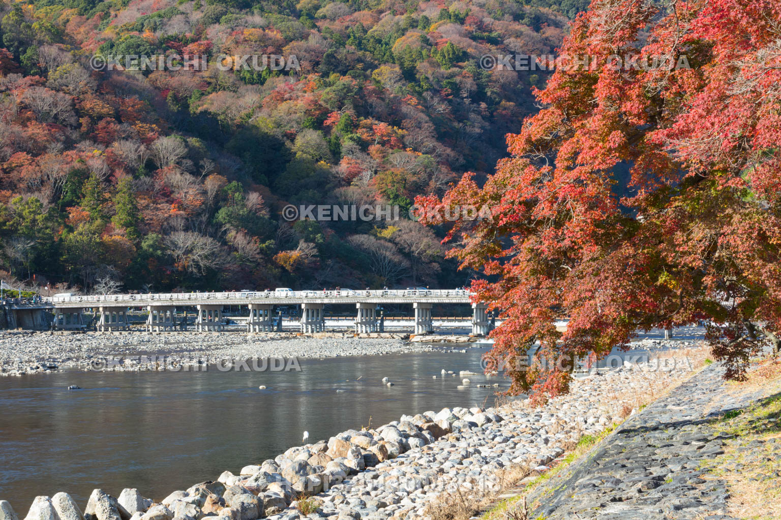 京都府　紅葉の渡月橋