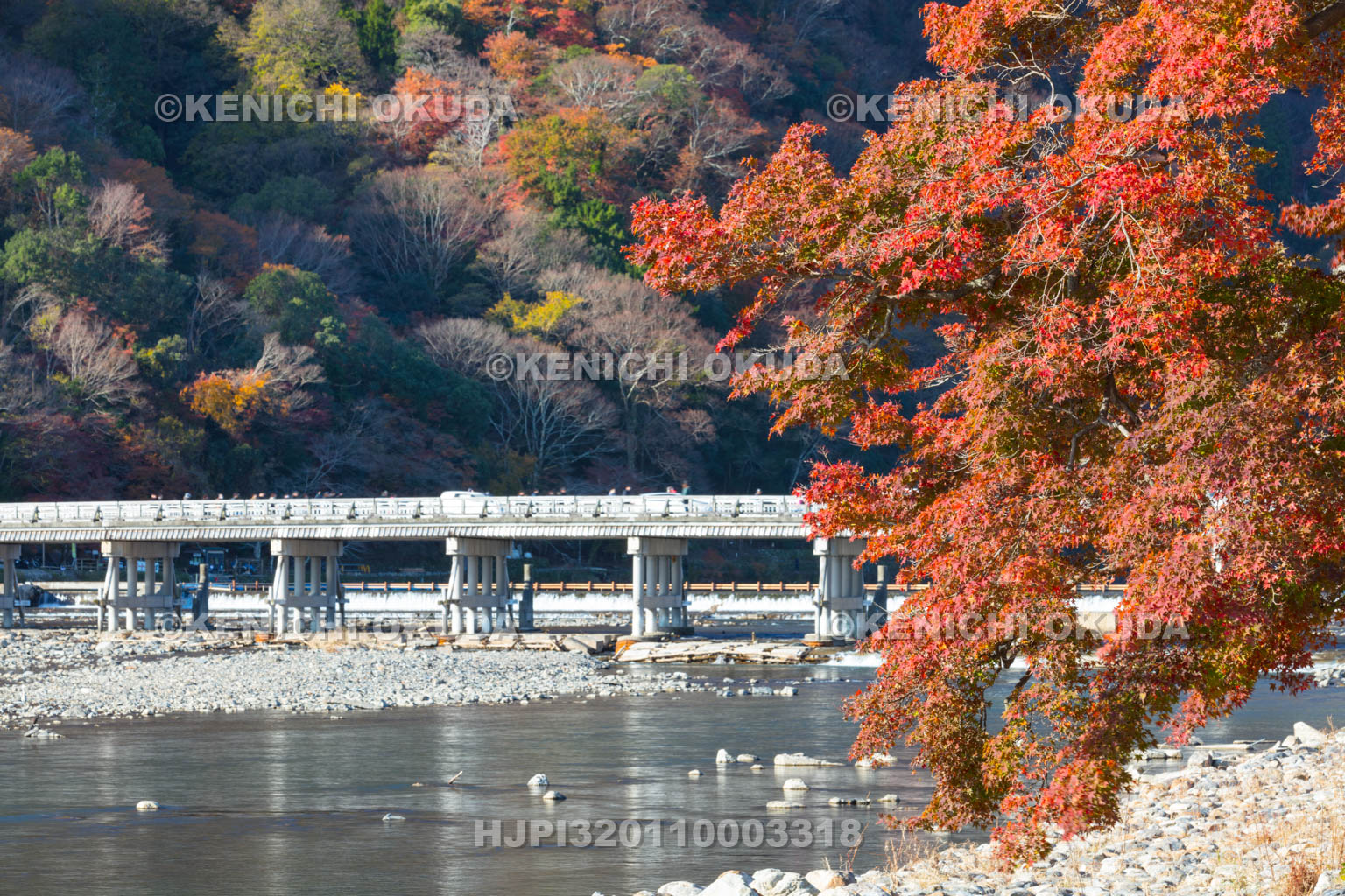 京都府　紅葉の渡月橋