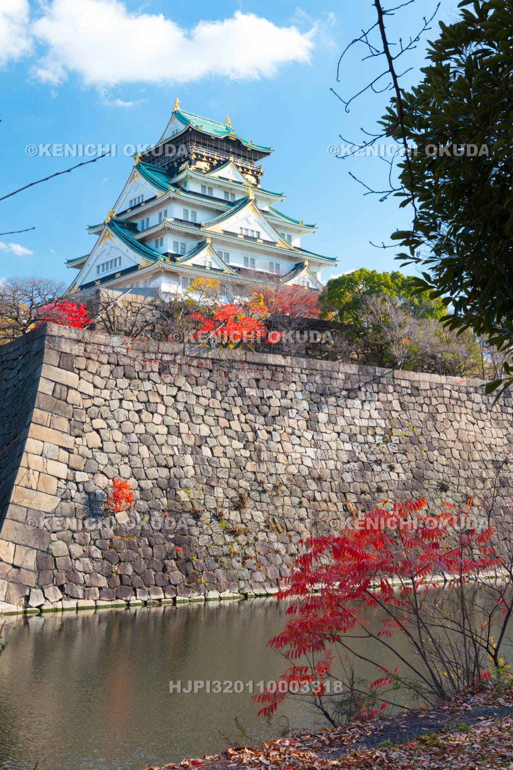 大阪府　紅葉の大阪城天守閣