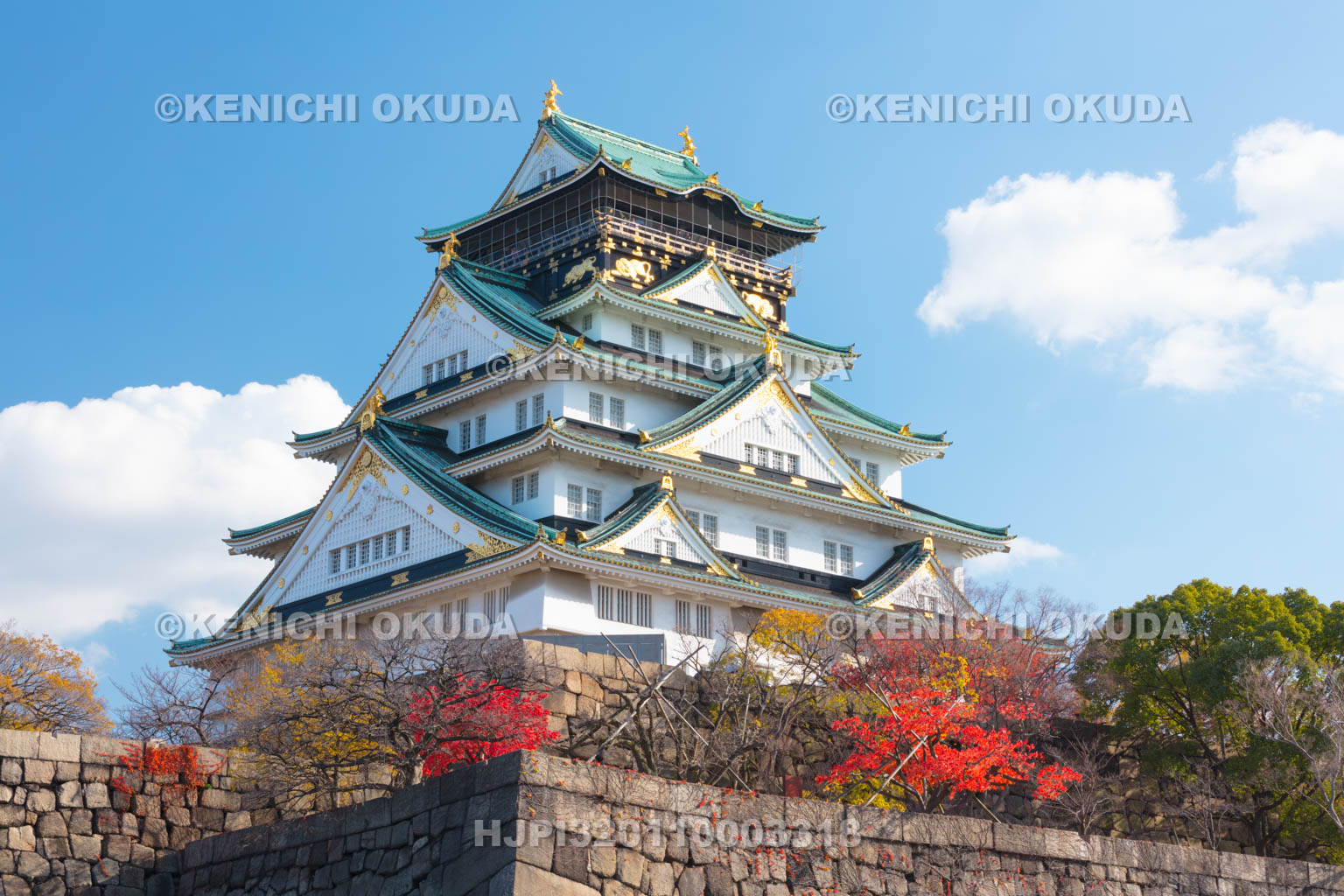 大阪府　紅葉の大阪城天守閣