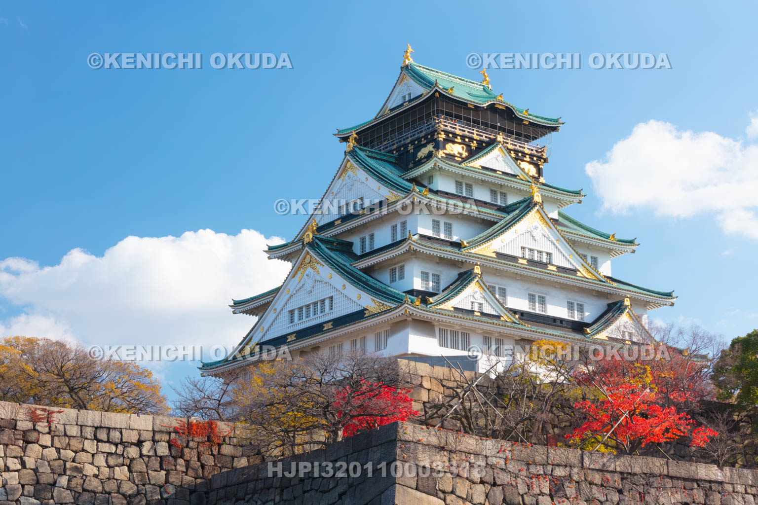 大阪府　紅葉の大阪城天守閣