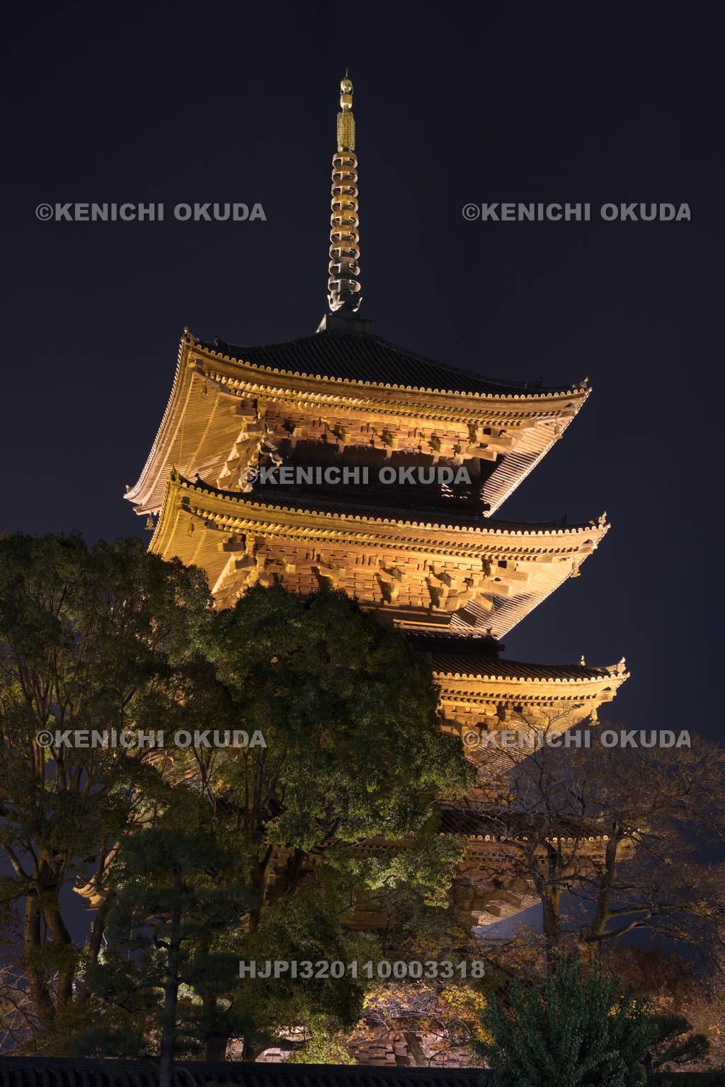 京都府　ライトアップの東寺五重塔