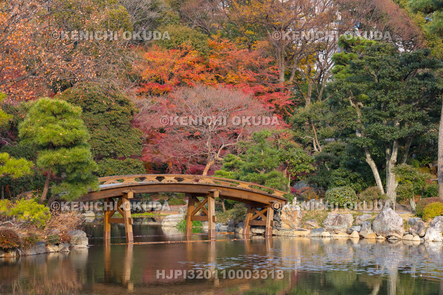 京都府　渉成園　紅葉と侵雪橋