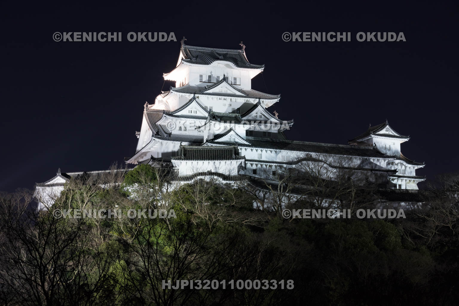 兵庫県　姫路城の夜景