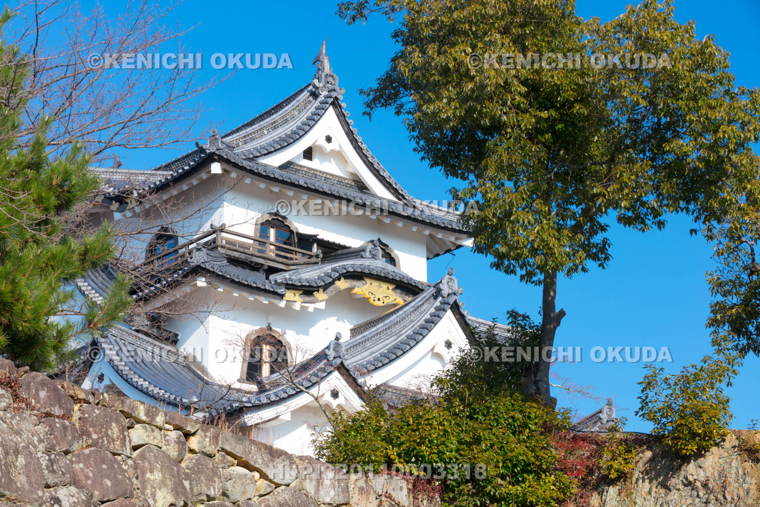 滋賀県　彦根城天守閣