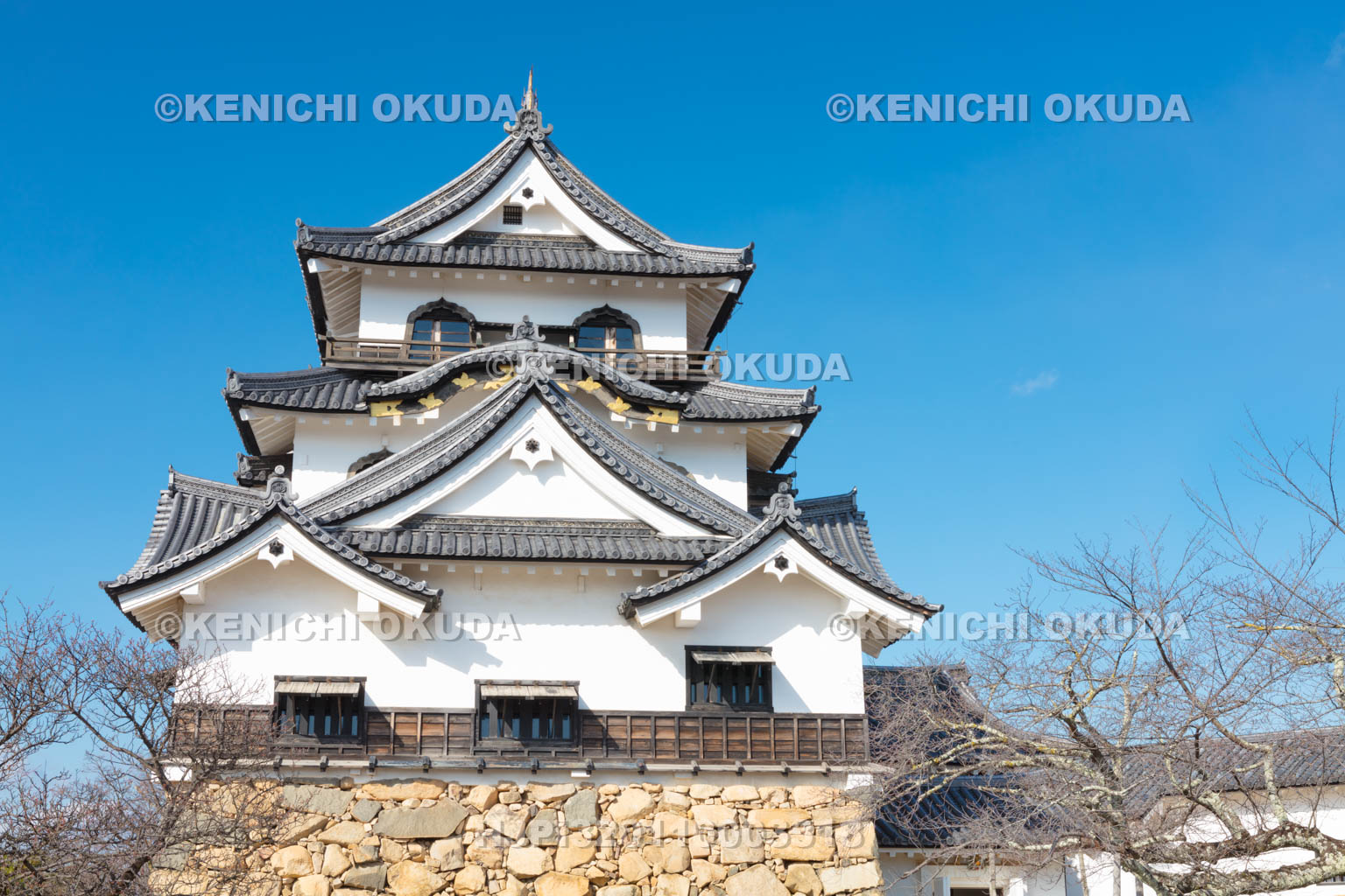 滋賀県　彦根城天守閣