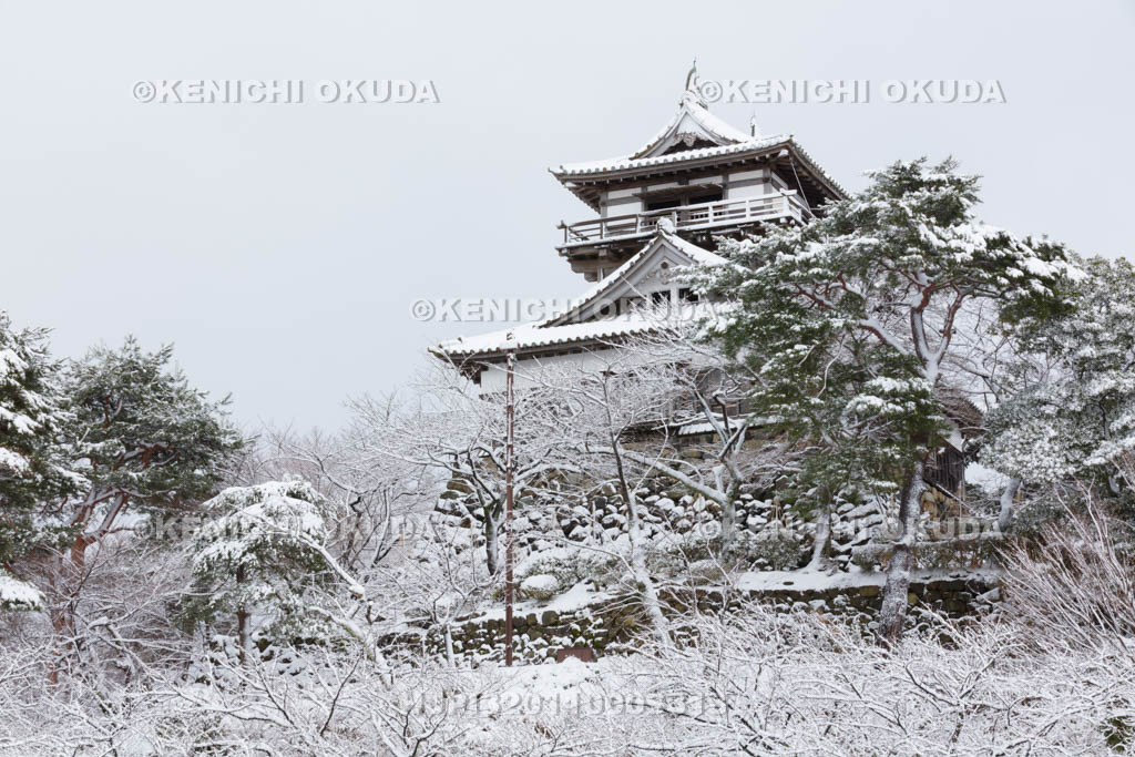 福井県　雪の丸岡城