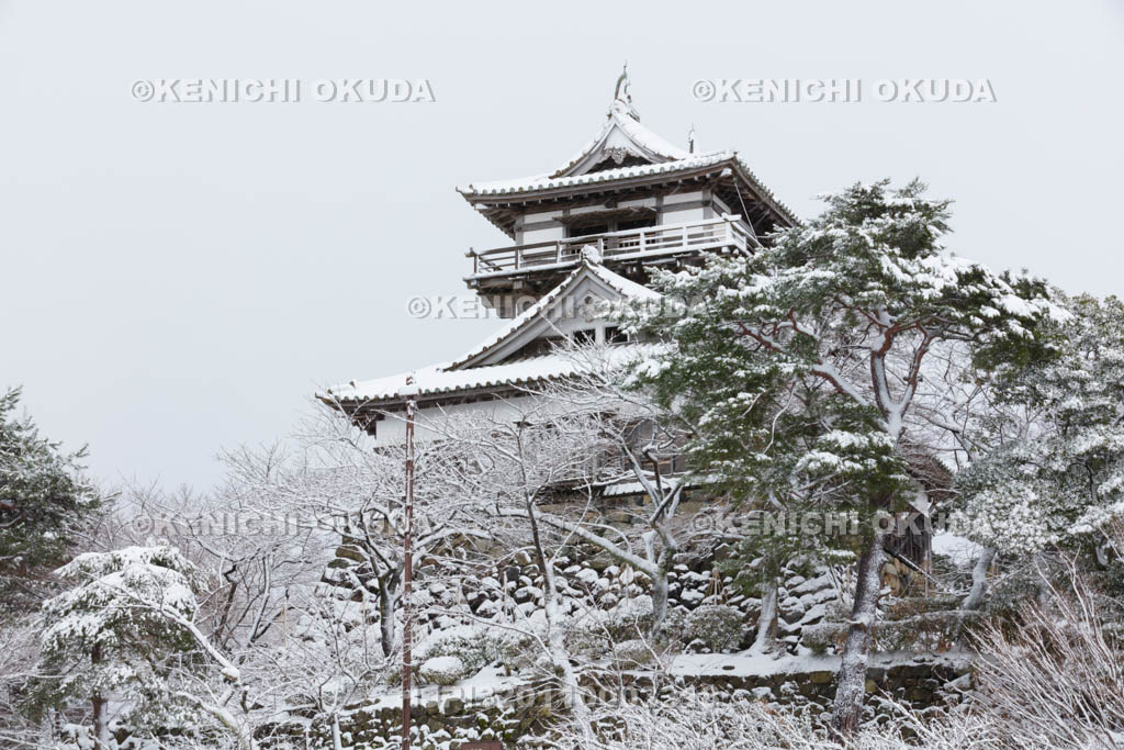 福井県　雪の丸岡城