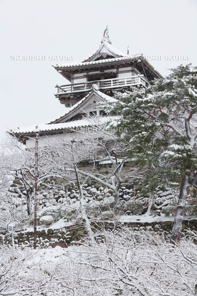 福井県　雪の丸岡城
