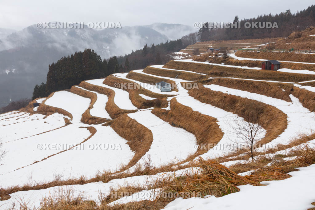 兵庫県　和佐父（わさぶ）　西ヶ岡の棚田