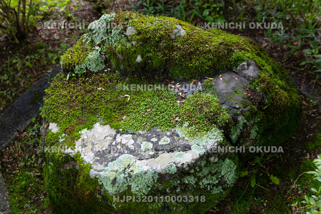 大阪府　久安寺の腰掛石