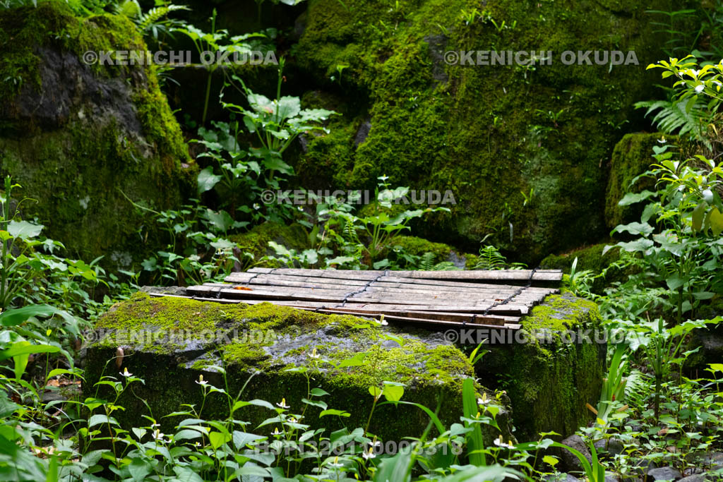 大阪府　久安寺の光明泉
