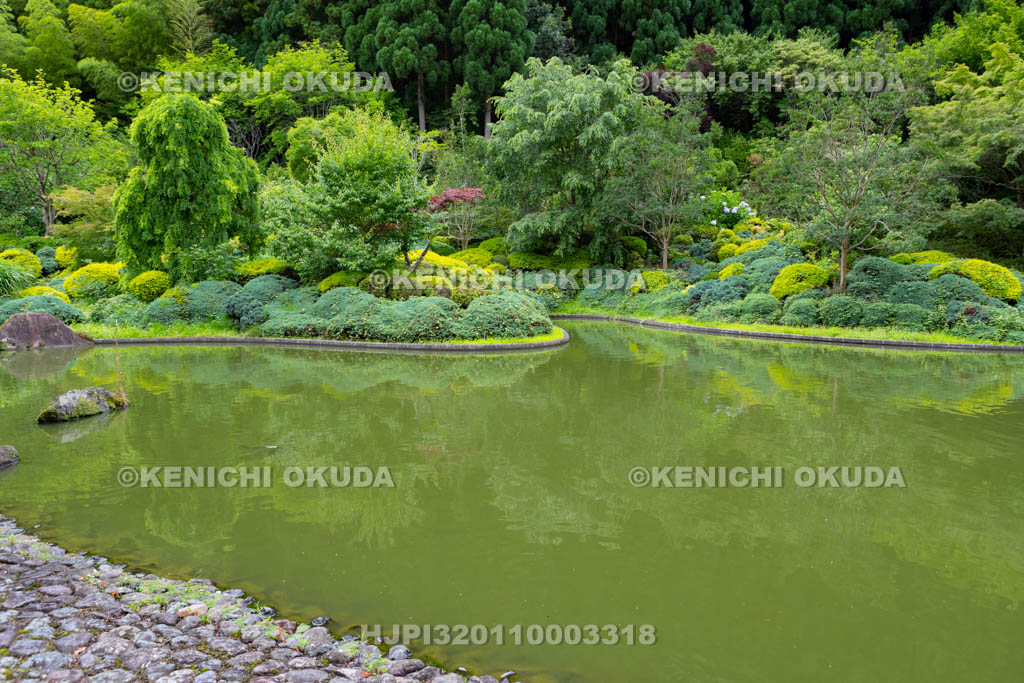 大阪府　久安寺　虚空園のバン字池