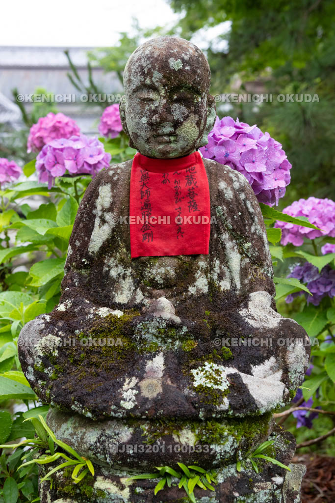 奈良県　矢田寺　石仏とアジサイ