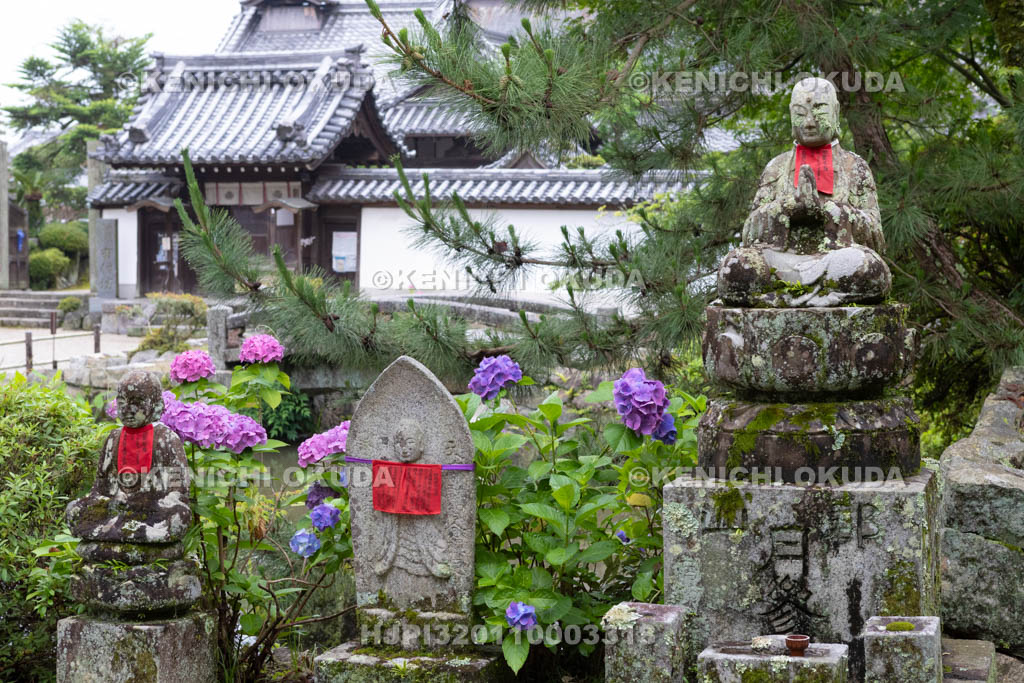 奈良県　矢田寺　石仏とアジサイ