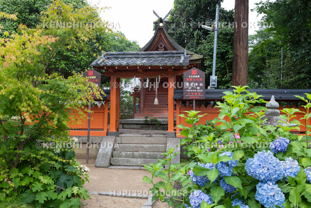 奈良県　矢田寺の春日神社