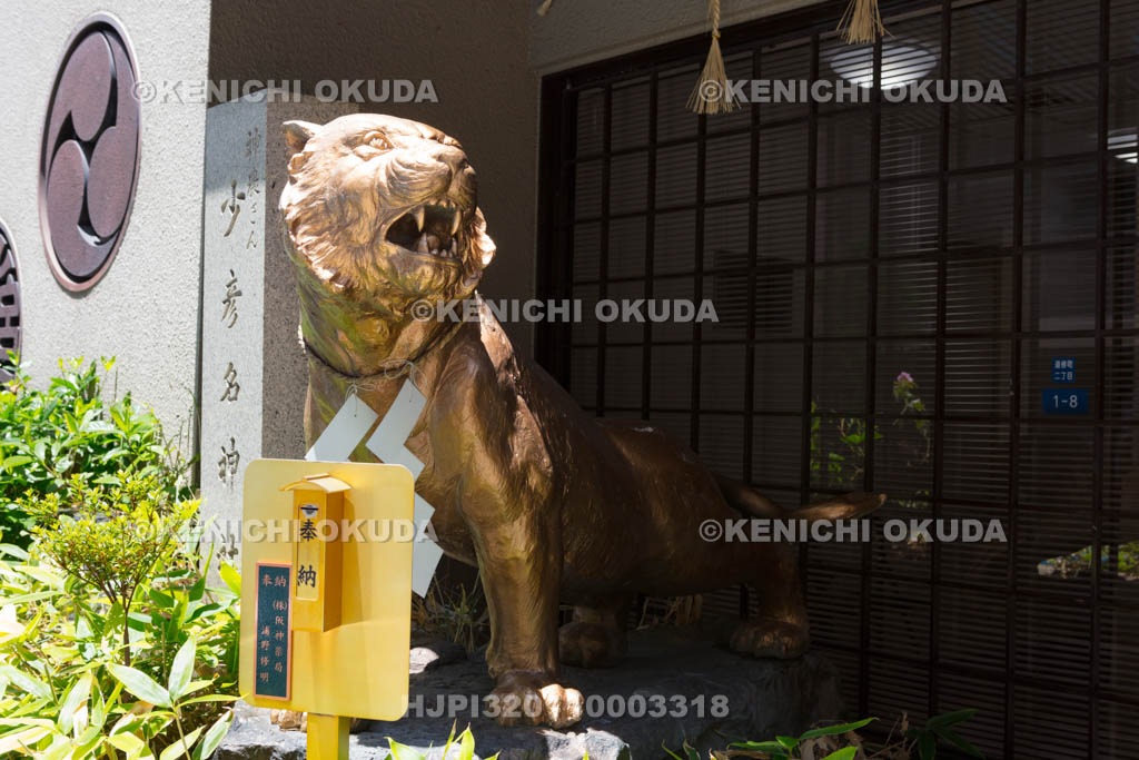 大阪府　少彦名神社　神虎の像