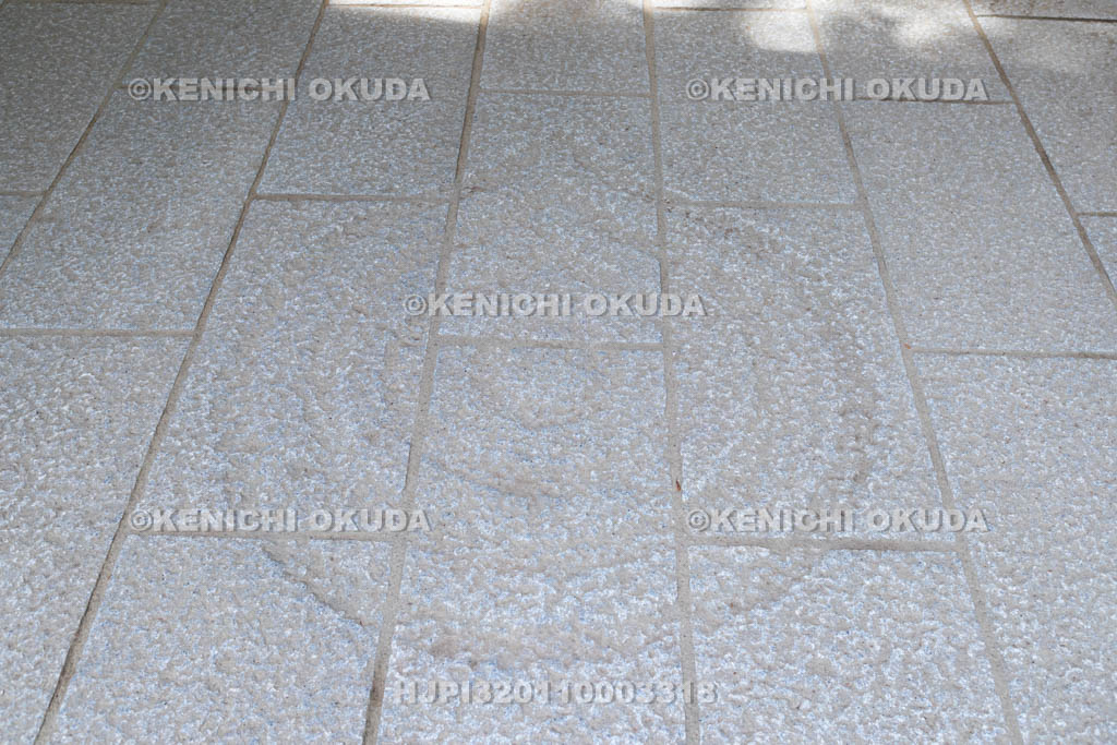 京都府　南禅寺　南禅院の参道彫刻　空（円性）