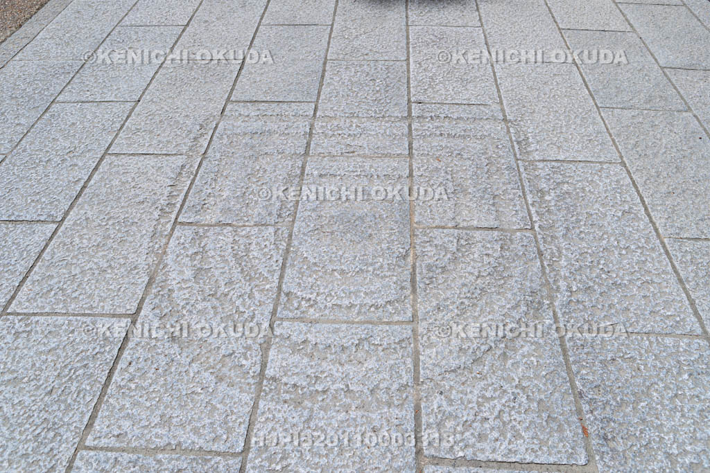 京都府　南禅寺　南禅院の参道彫刻　風（動性）