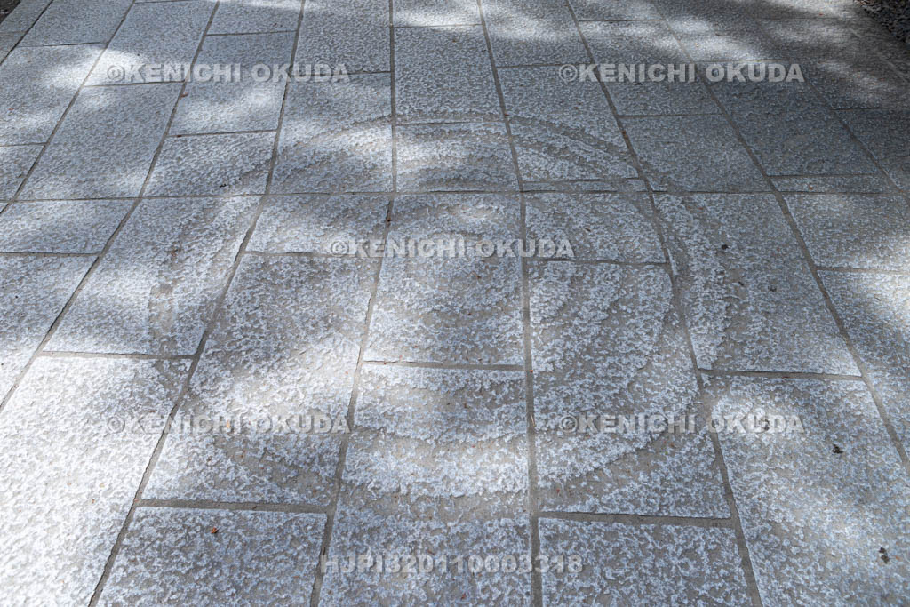 京都府　南禅寺　南禅院の参道彫刻　水（湿性）