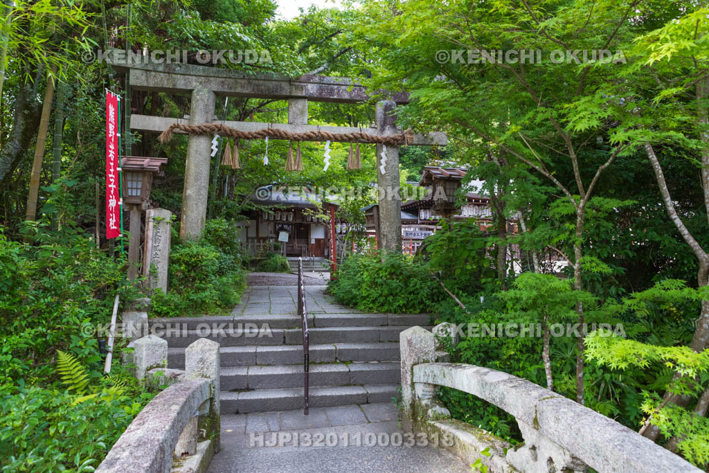 京都府　熊野若王子神社の参道