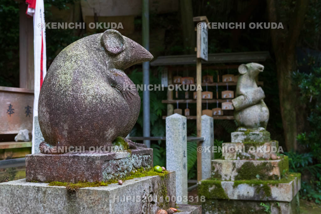 京都府　大豊神社　大国社の狛ネズミ