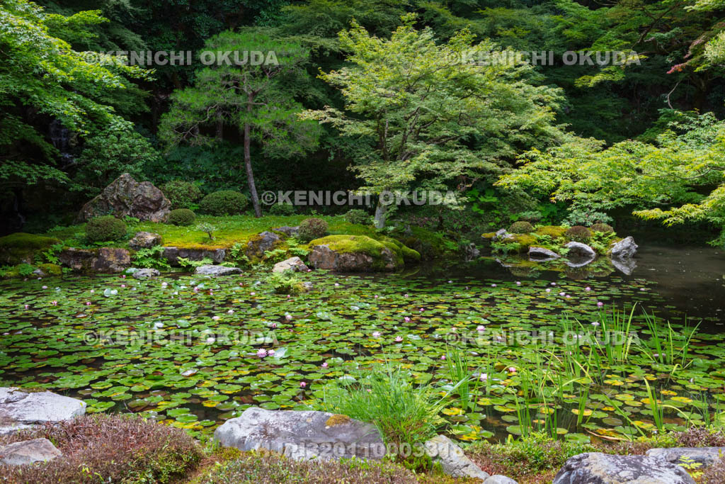 京都府　南禅寺　南禅院の庭園