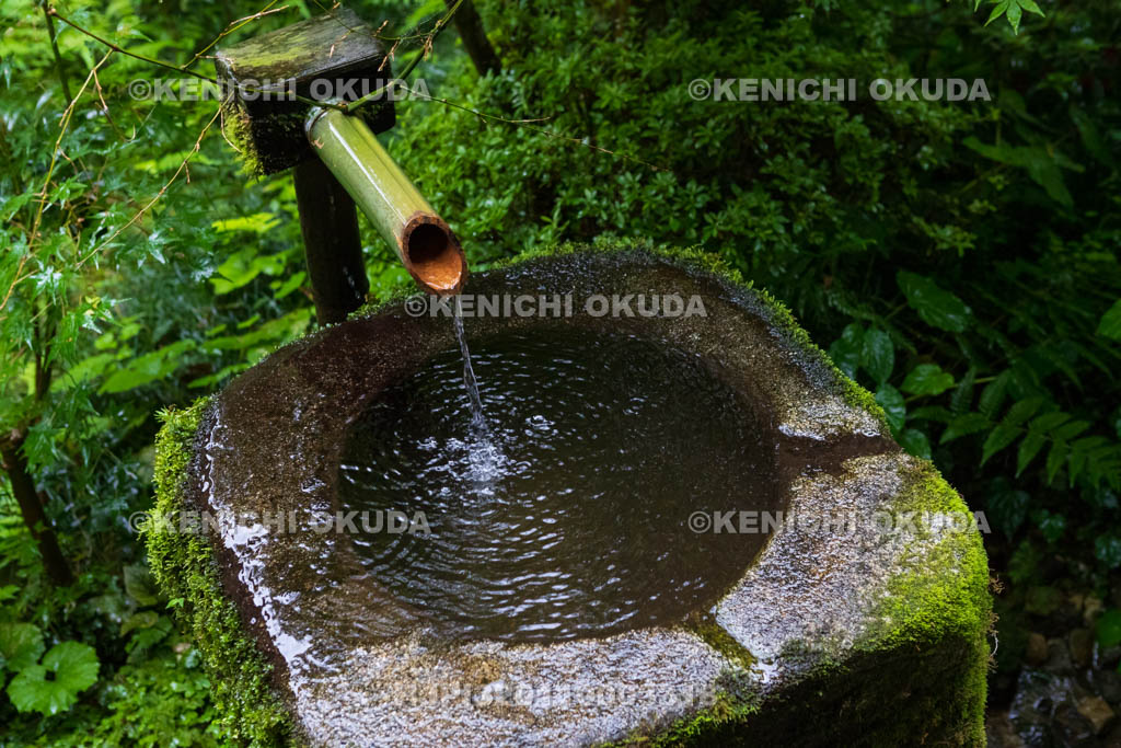 京都府　三千院のつくばい