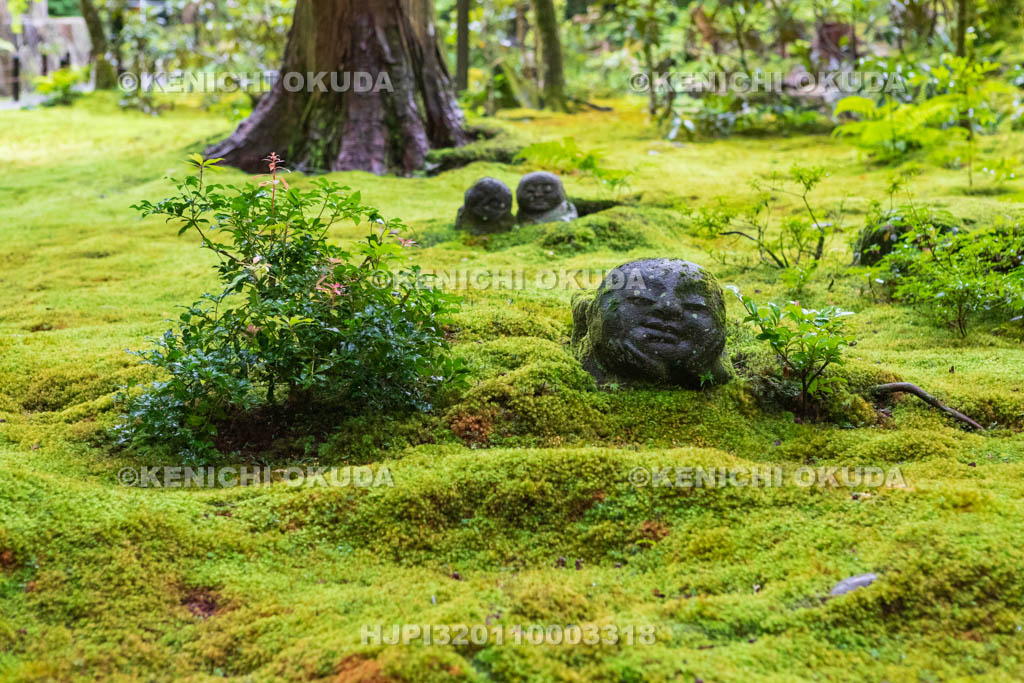 京都府　三千院　有清園のわらべ地蔵