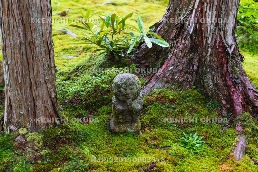 京都府　三千院　有清園のわらべ地蔵