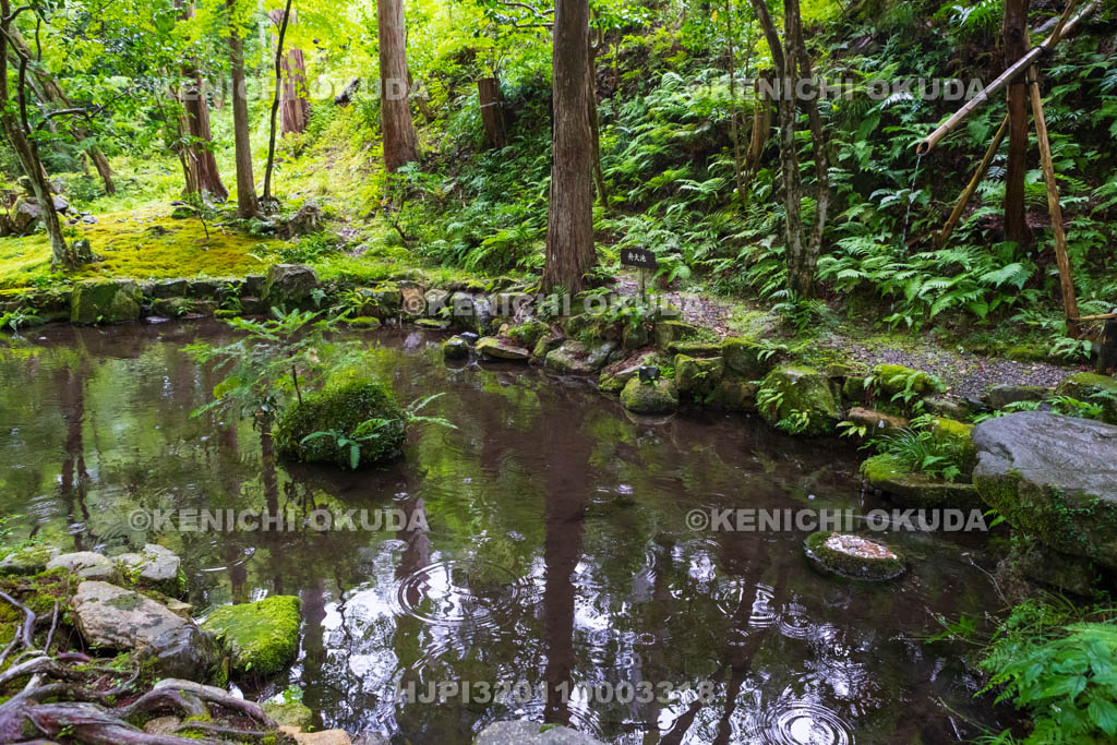 京都府　三千院　有清園の弁天池