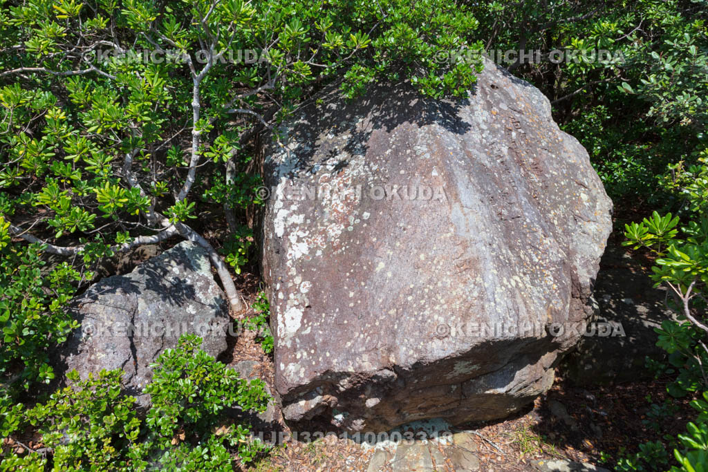 和歌山県　三段壁　口紅の碑