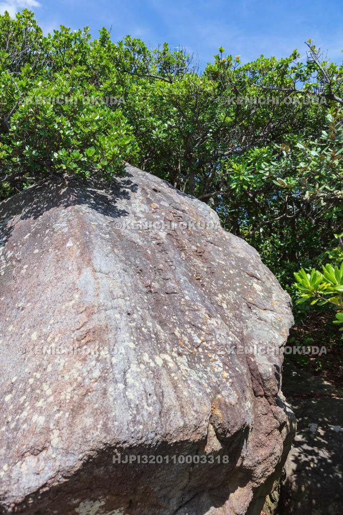 和歌山県　三段壁　口紅の碑