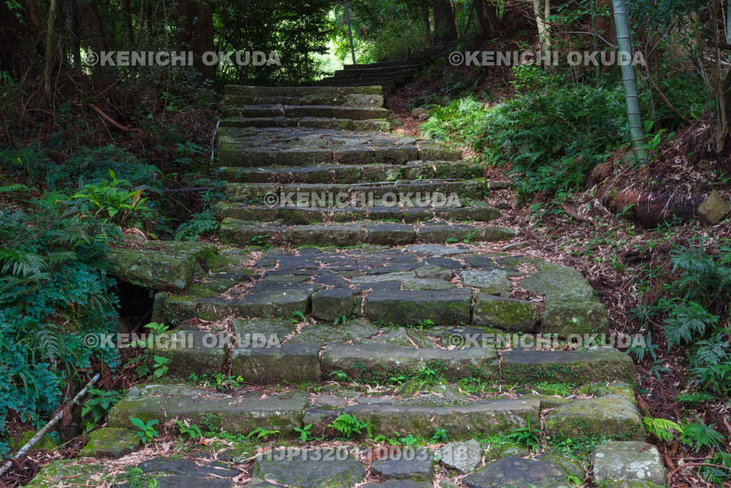 和歌山県　熊野参詣道中辺路の大門坂