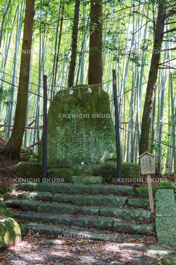 和歌山県　熊野参詣道中辺路　大門坂の多富気王子