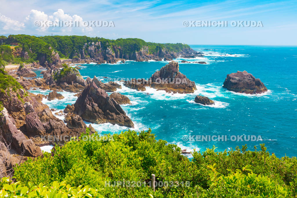 和歌山県　海金剛