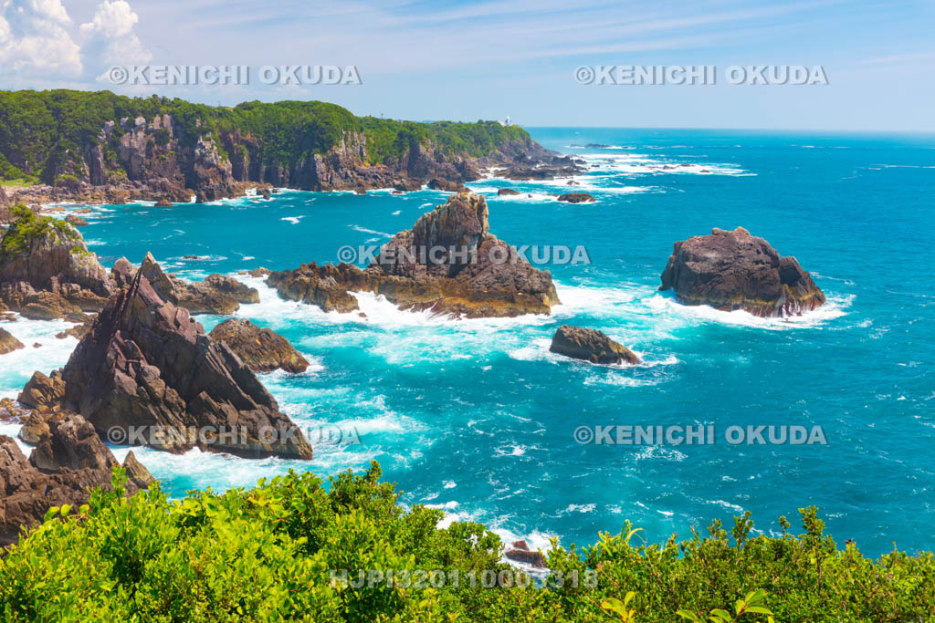 和歌山県　海金剛