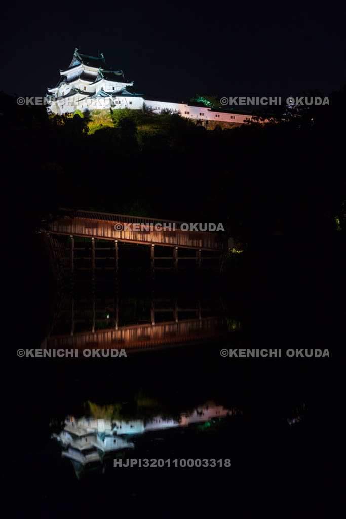 和歌山県　和歌山城の夜景　天守と御橋廊下