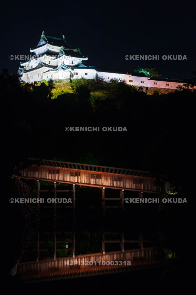 和歌山県　和歌山城の夜景　天守と御橋廊下