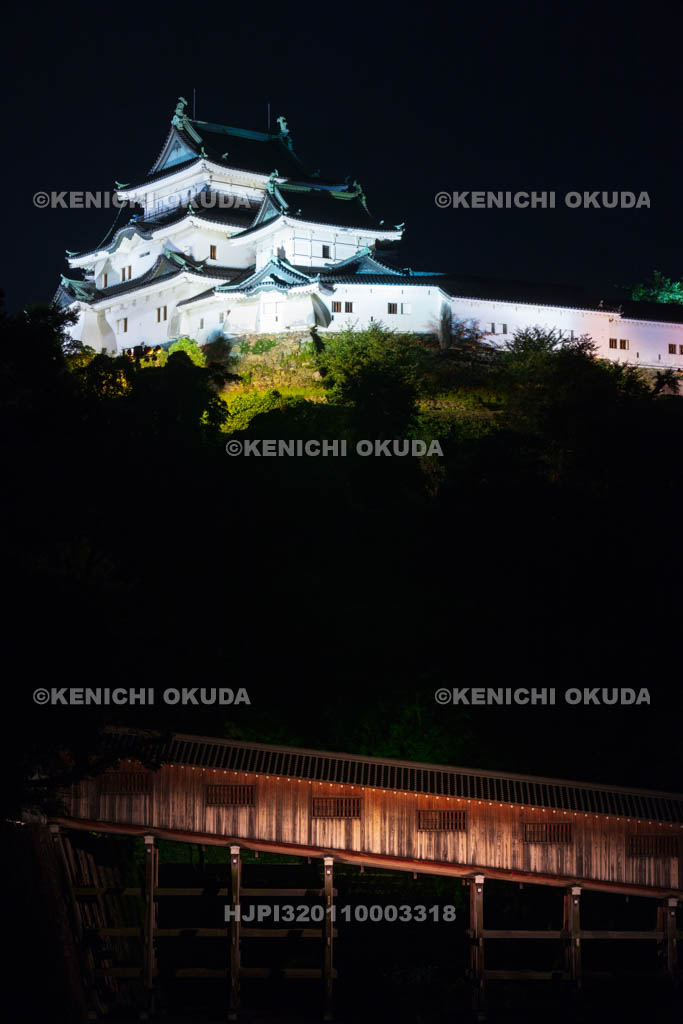 和歌山県　和歌山城の夜景　天守と御橋廊下