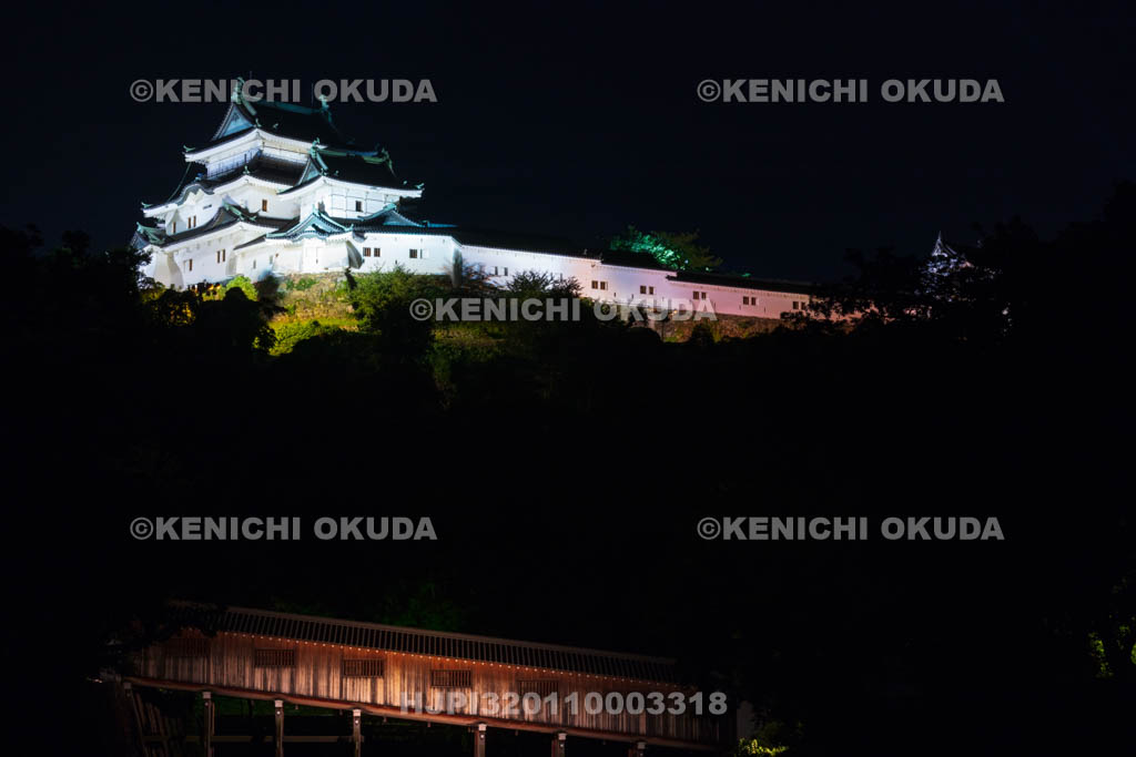 和歌山県　和歌山城の夜景　天守と御橋廊下