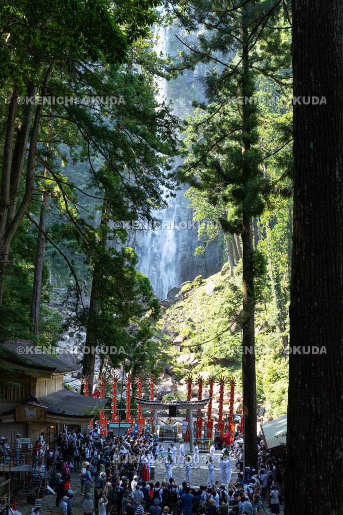 和歌山県　那智の扇祭り　田刈式