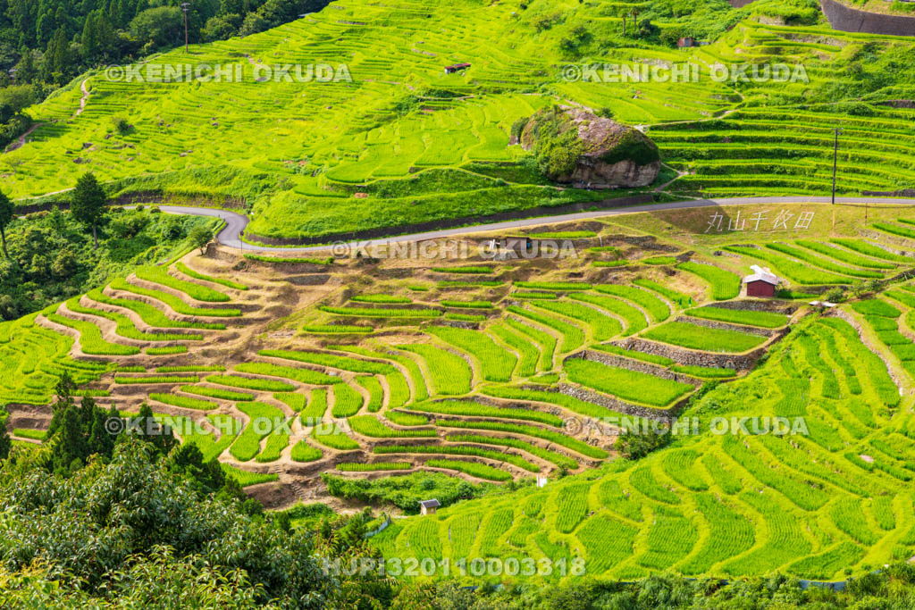 三重県　丸山千枚田