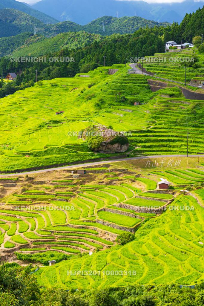 三重県　丸山千枚田