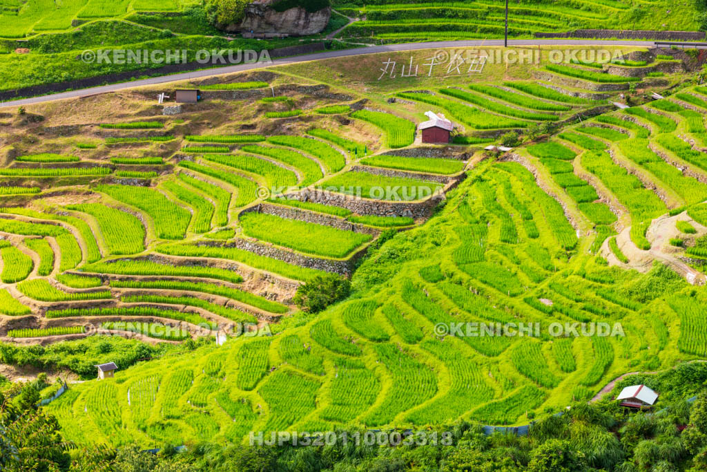 三重県　丸山千枚田