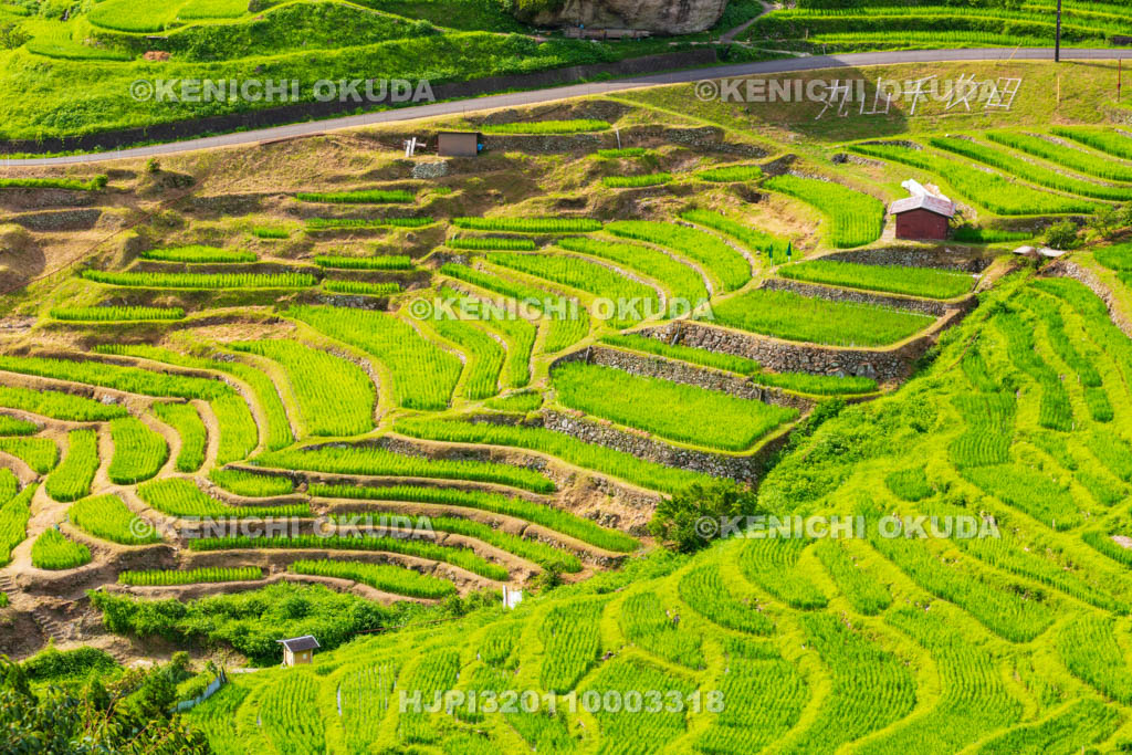 三重県　丸山千枚田