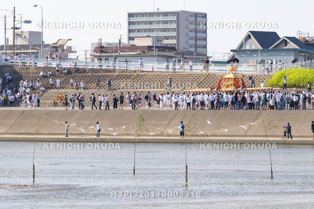 大阪府　住吉祭の神輿渡御　大和川川渡り