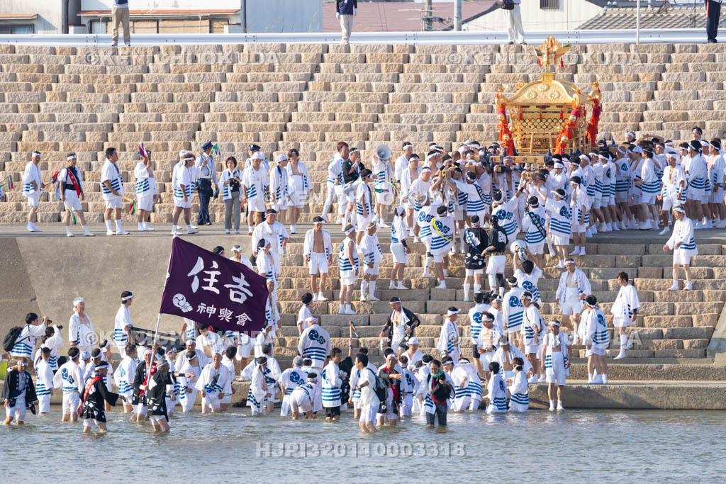 大阪府　住吉祭の神輿渡御　大和川川渡り
