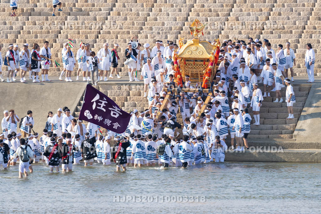 大阪府　住吉祭の神輿渡御　大和川川渡り