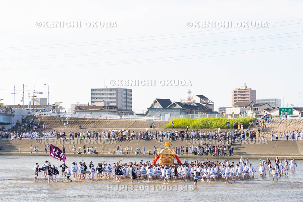 大阪府　住吉祭の神輿渡御　大和川川渡り
